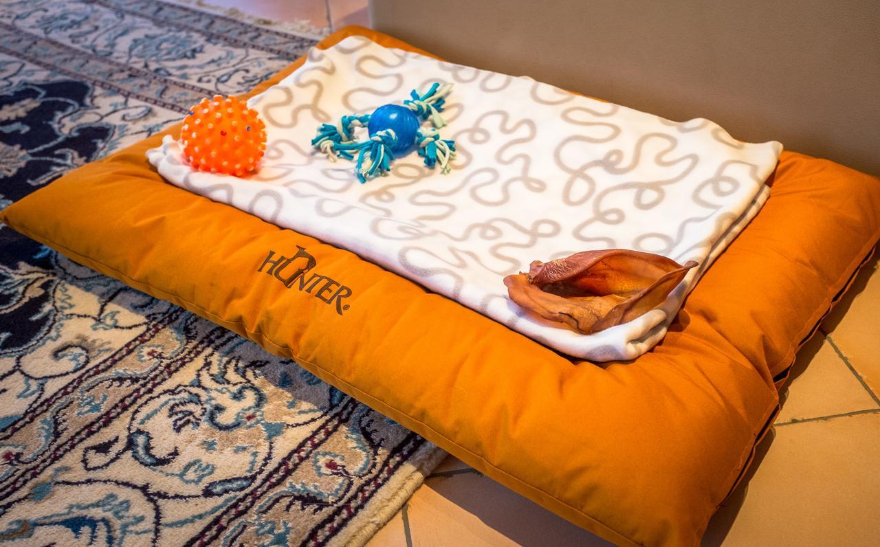 Chalet Verwall Luxury Apartments Lech Ngoại thất bức ảnh